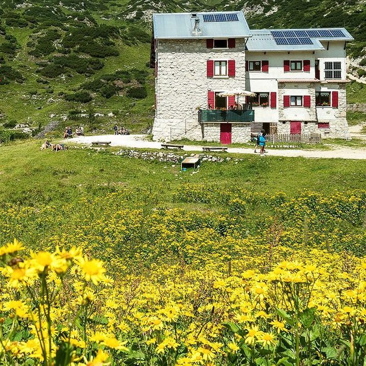 Un grande edificio in pietra è circondato da un campo di fiori gialli