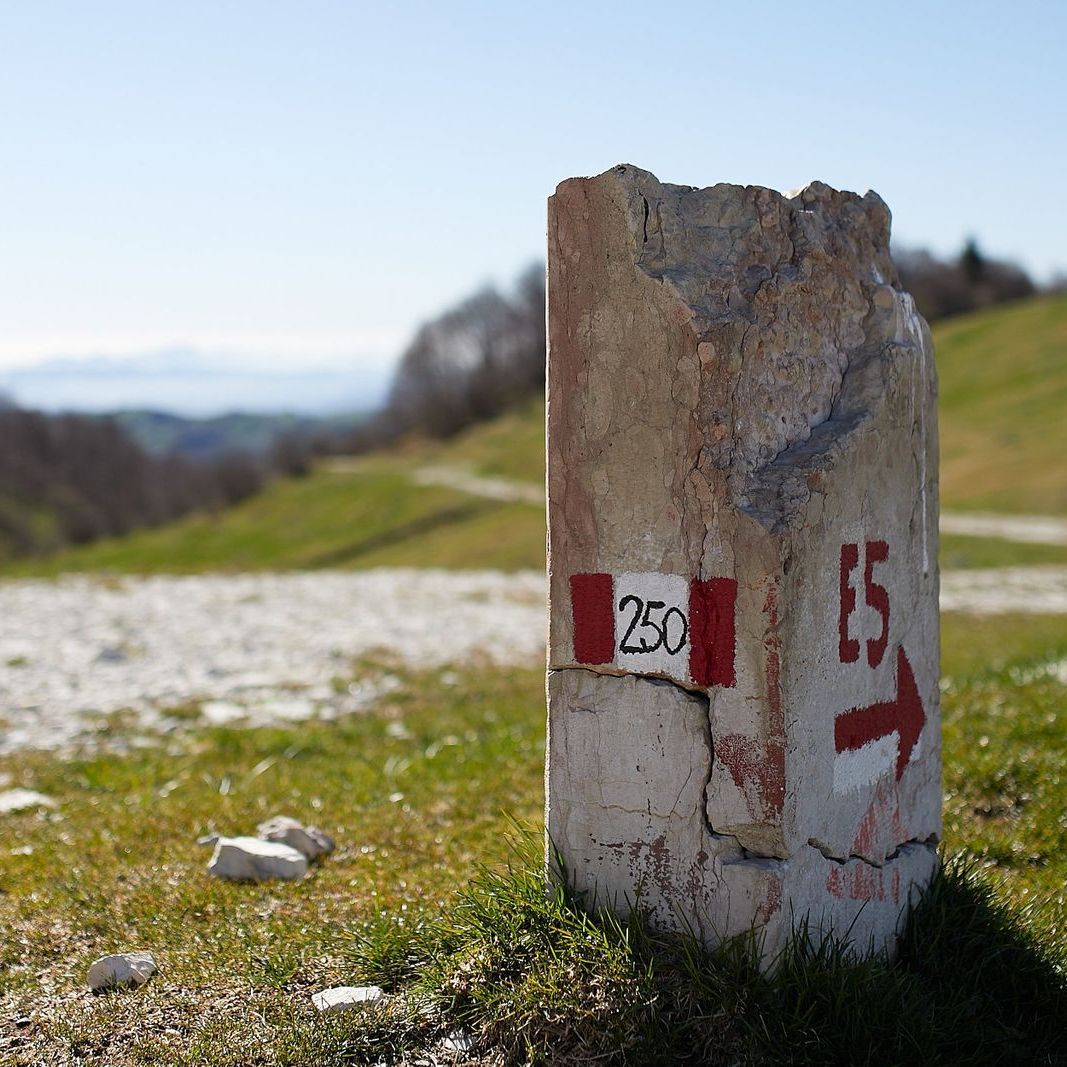 Un palo di pietra con sopra il numero 250