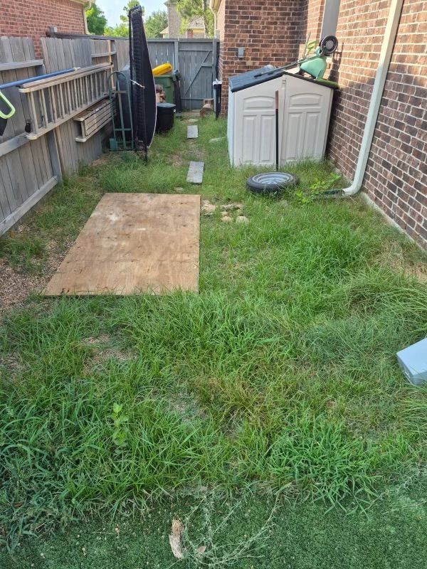A small, overgrown backyard with a shed, plywood, and a ladder against a fence.