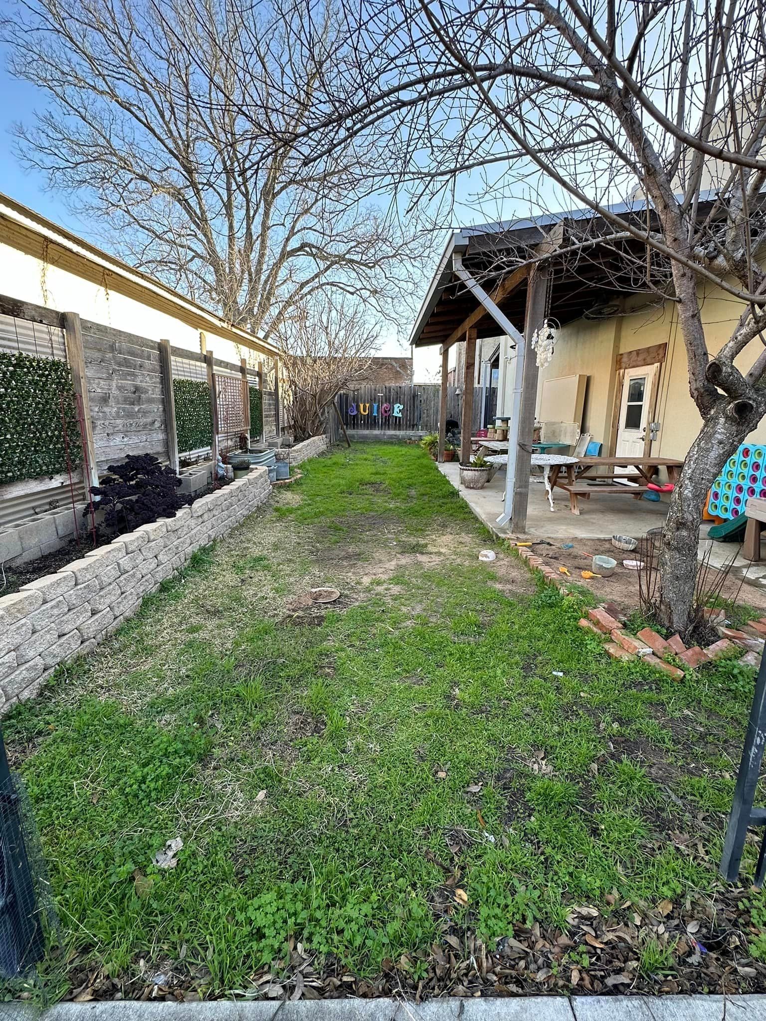 Lawn between two buildings, one with a porch and the other with a brick border. Trees and blue sky visible.