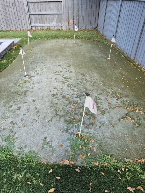 A backyard putting green with six flagsticks. The surface is covered in scattered leaves. Fences border the green.