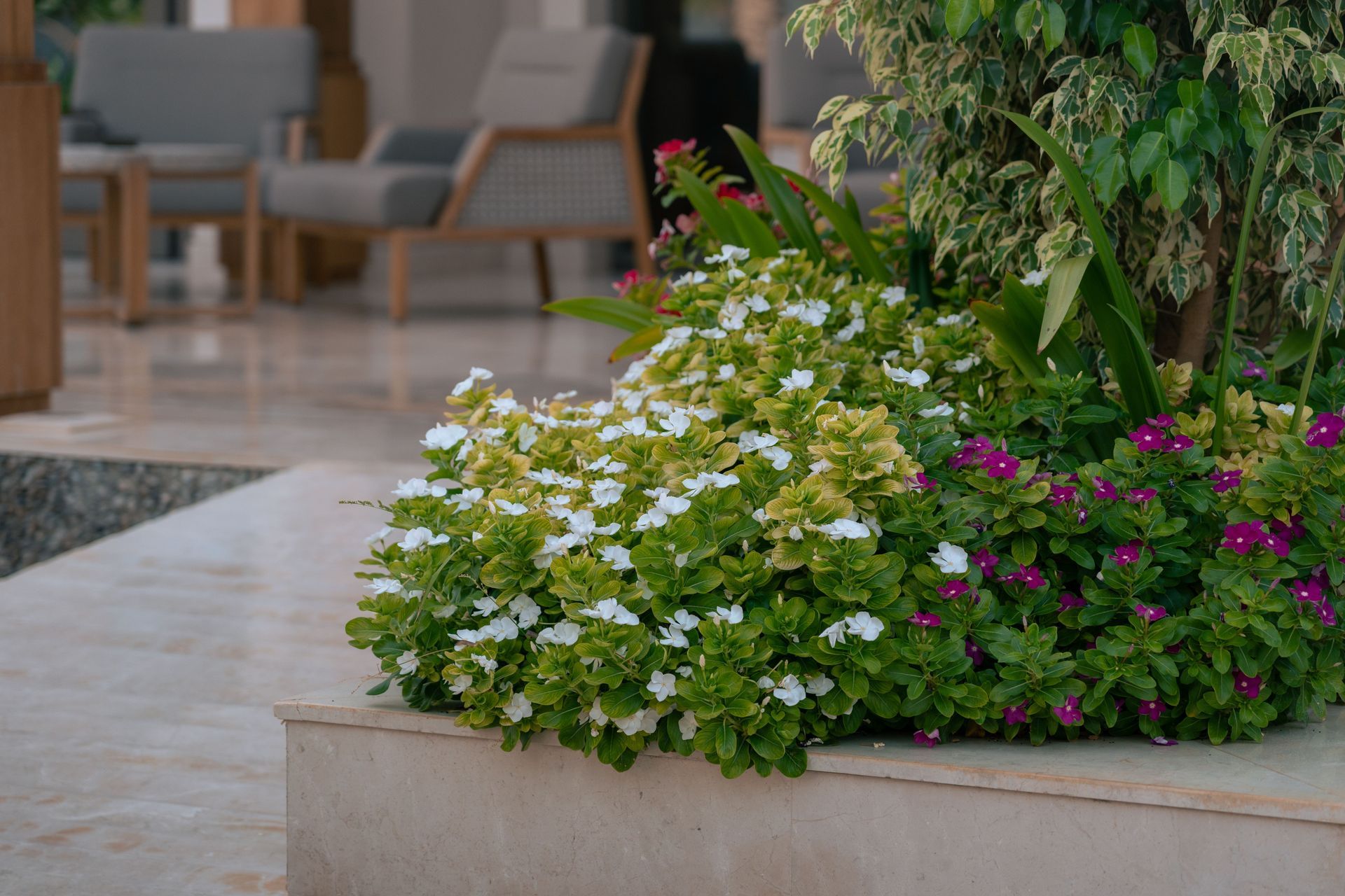 landscape design, hardscaping and softscaping, pavers and plants