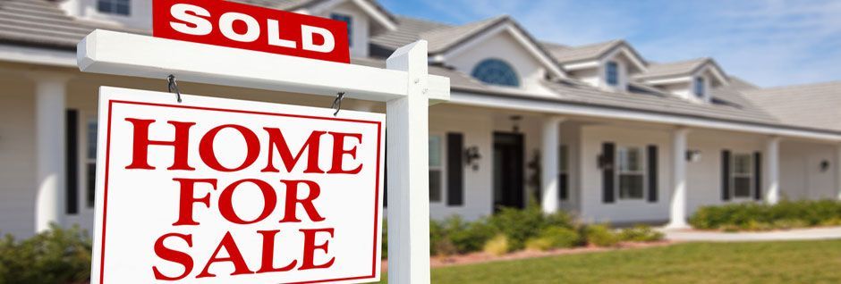 Suncoast Realty Inc