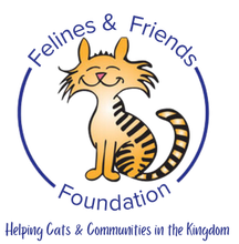 FFFVT logo