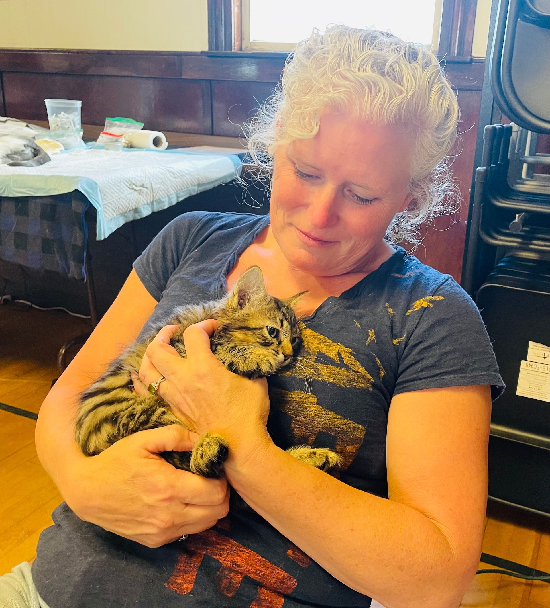 A Feline & Friends Foundation volunteer holds a cat