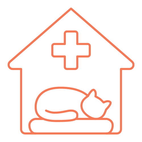 Spay icon: cat sleeping in a veterinarians office