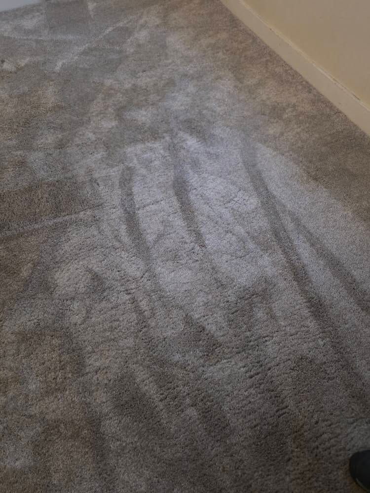 Carpeted floor with visible light-colored cleaning streaks near a wall corner.