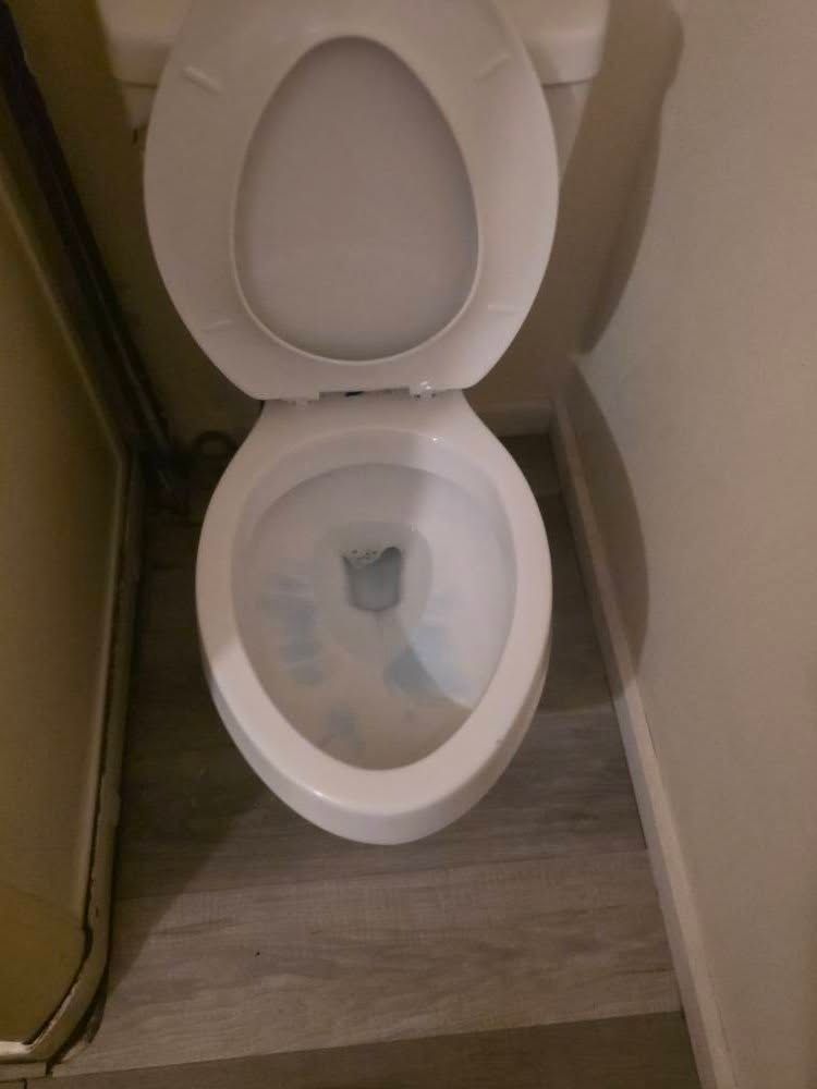 Open toilet with water overflow on bathroom floor and wood-look flooring nearby