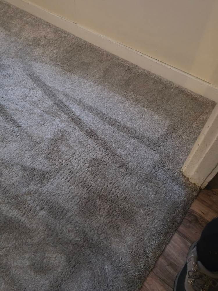Gray carpeted floor with sunlight and shadow near a doorway and wall trim