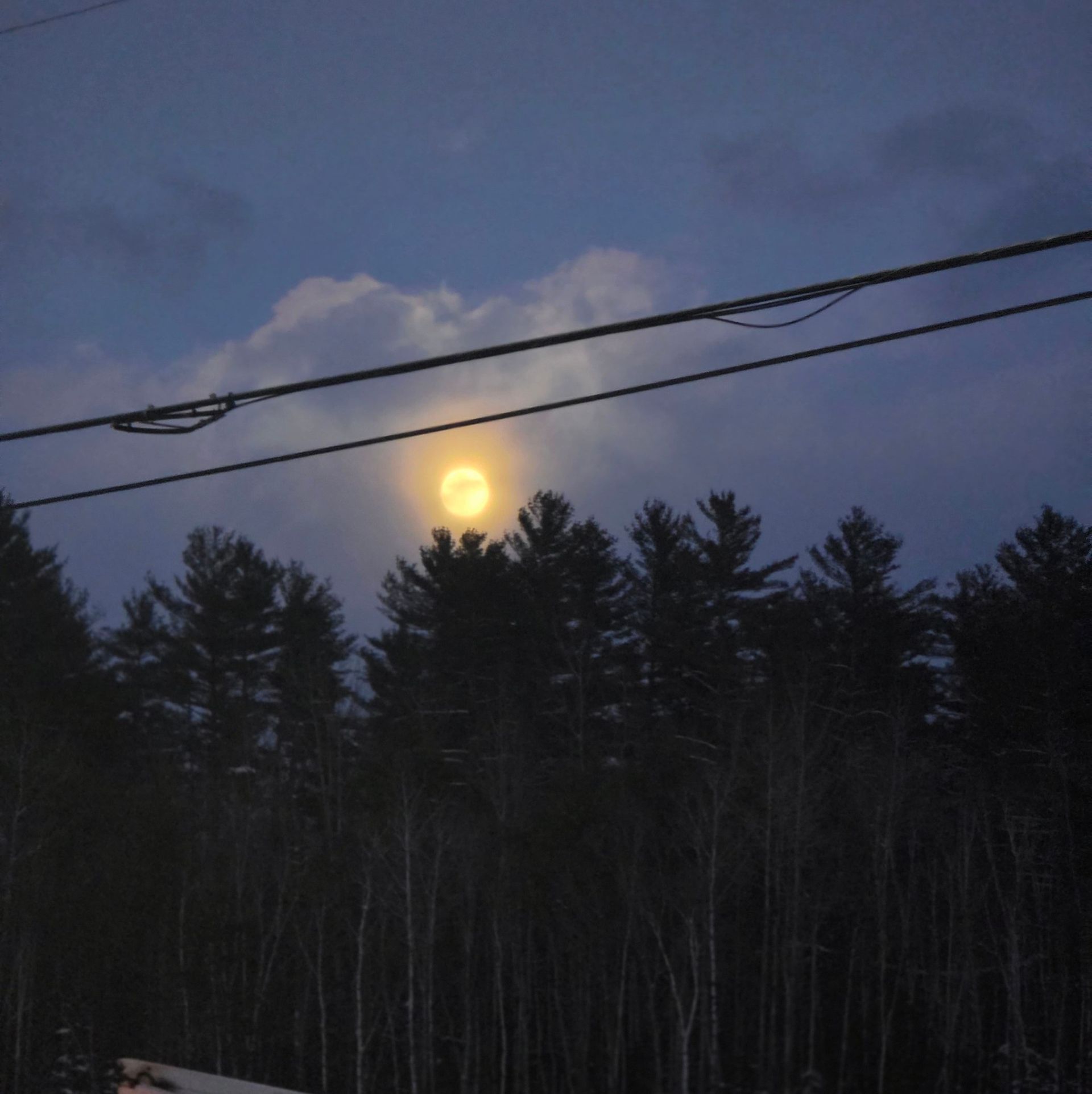 Moon rising over a dark pine forest at dusk, with power lines crossing the sky.