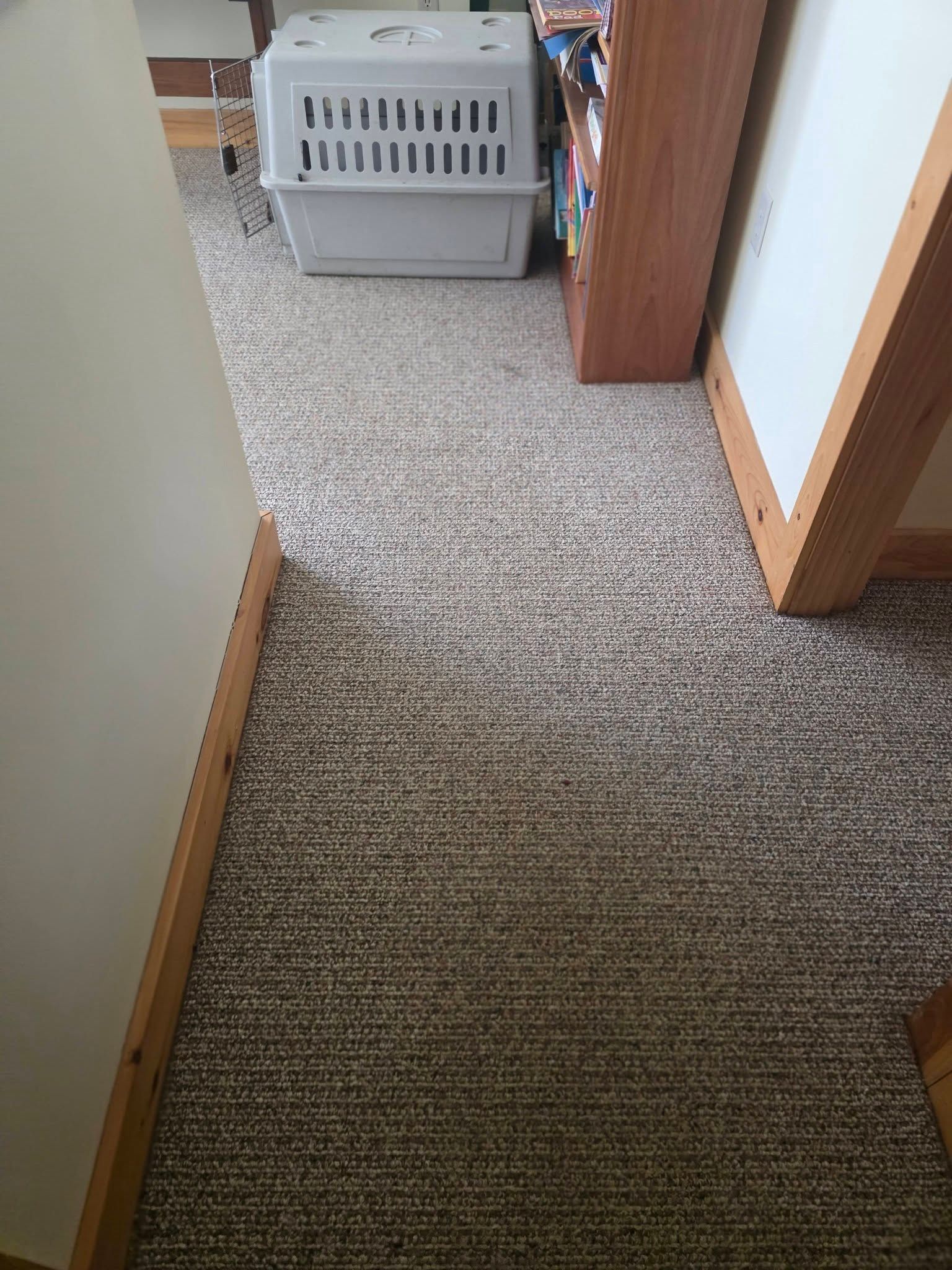 Carpeted hallway with a pet crate at the far end and a wooden cabinet on the right.