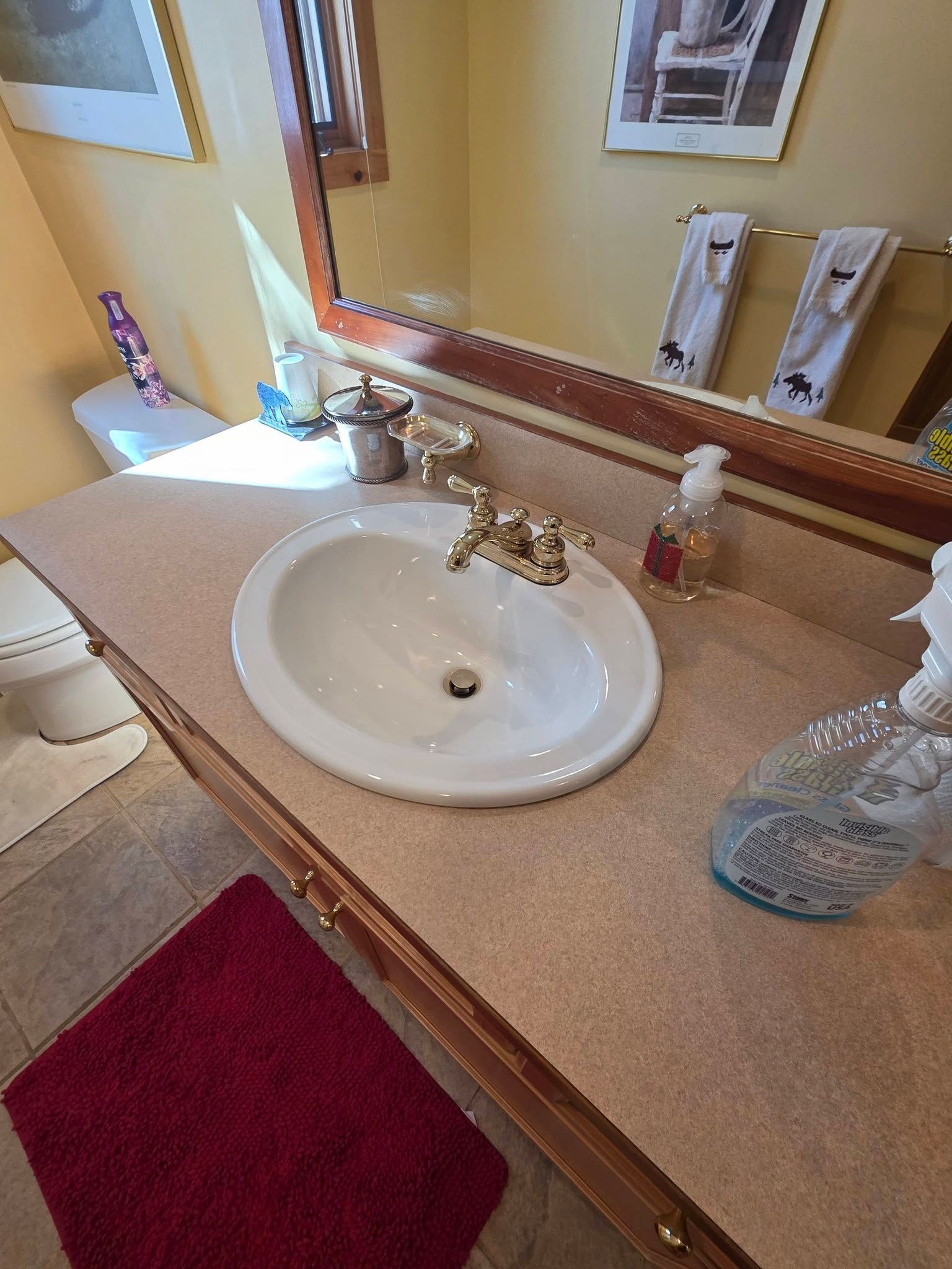 Bathroom vanity with white sink, brass faucet, soap dispenser, and red bath mat beside a mirror.