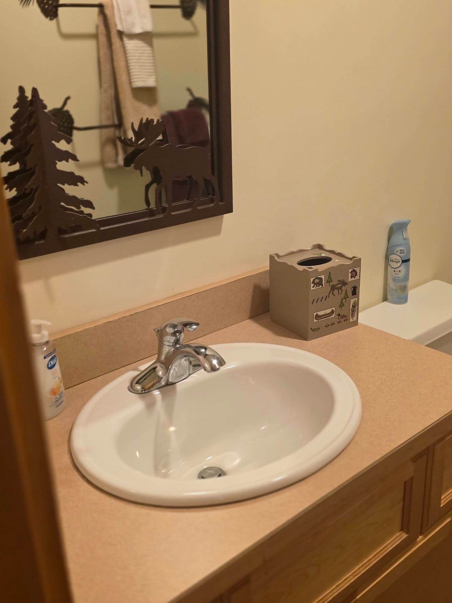 Bathroom sink with chrome faucet, mirror, soap dispenser, and tissue box on a peach countertop.