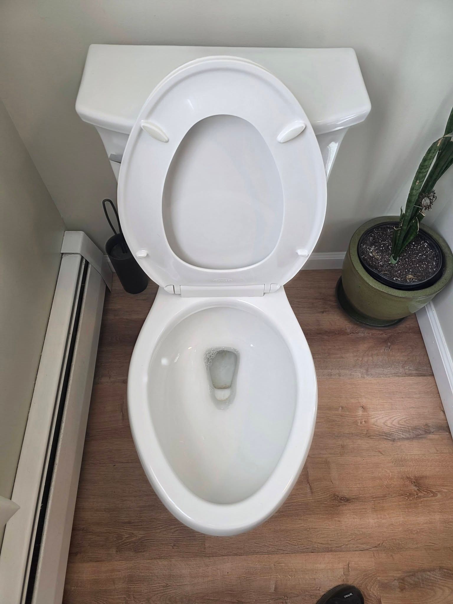 Open toilet in a small bathroom beside a radiator and potted plant.