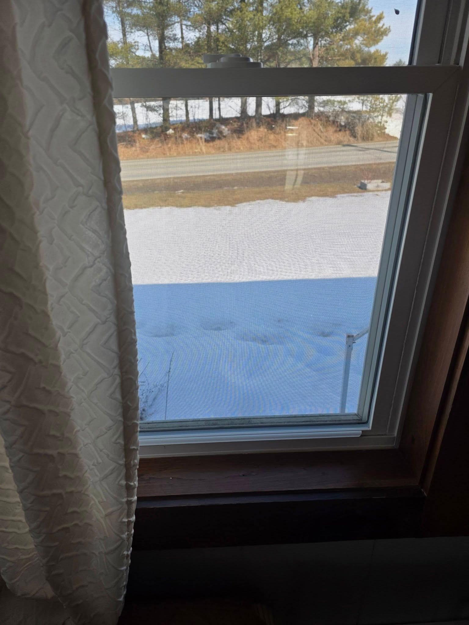 Window view of a snowy yard with trees, framed by a curtain and dark window sill