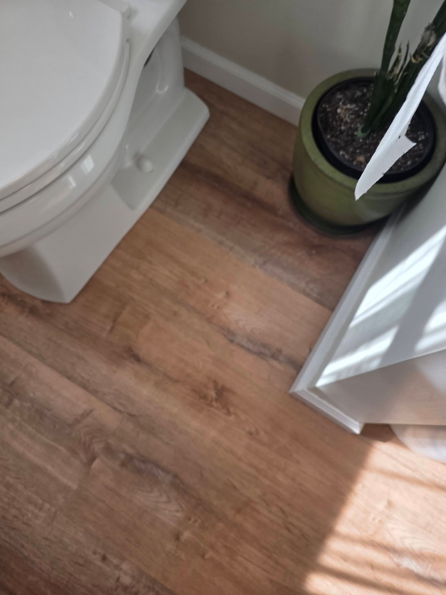 Bathroom corner with wood-look floor, toilet base, green potted plant, and an open door casting sunlight.