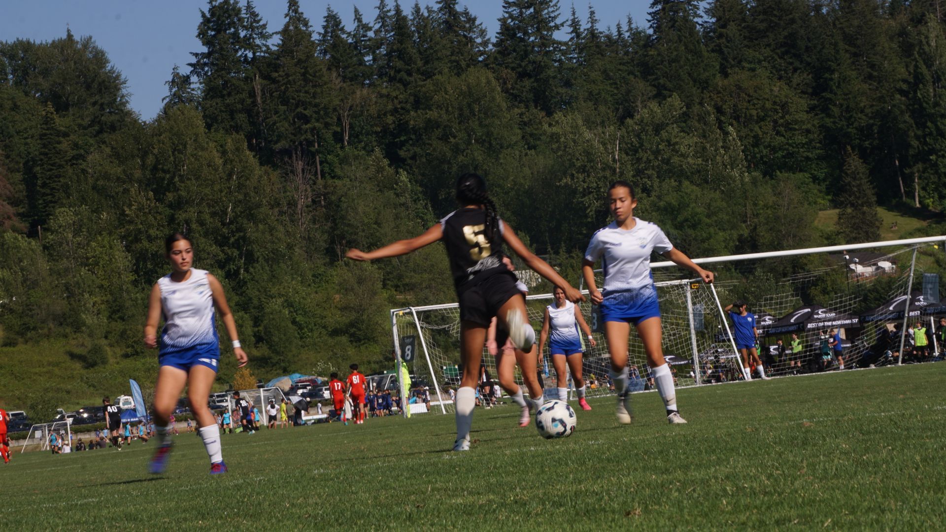 A group of girls are playing soccer on a field.