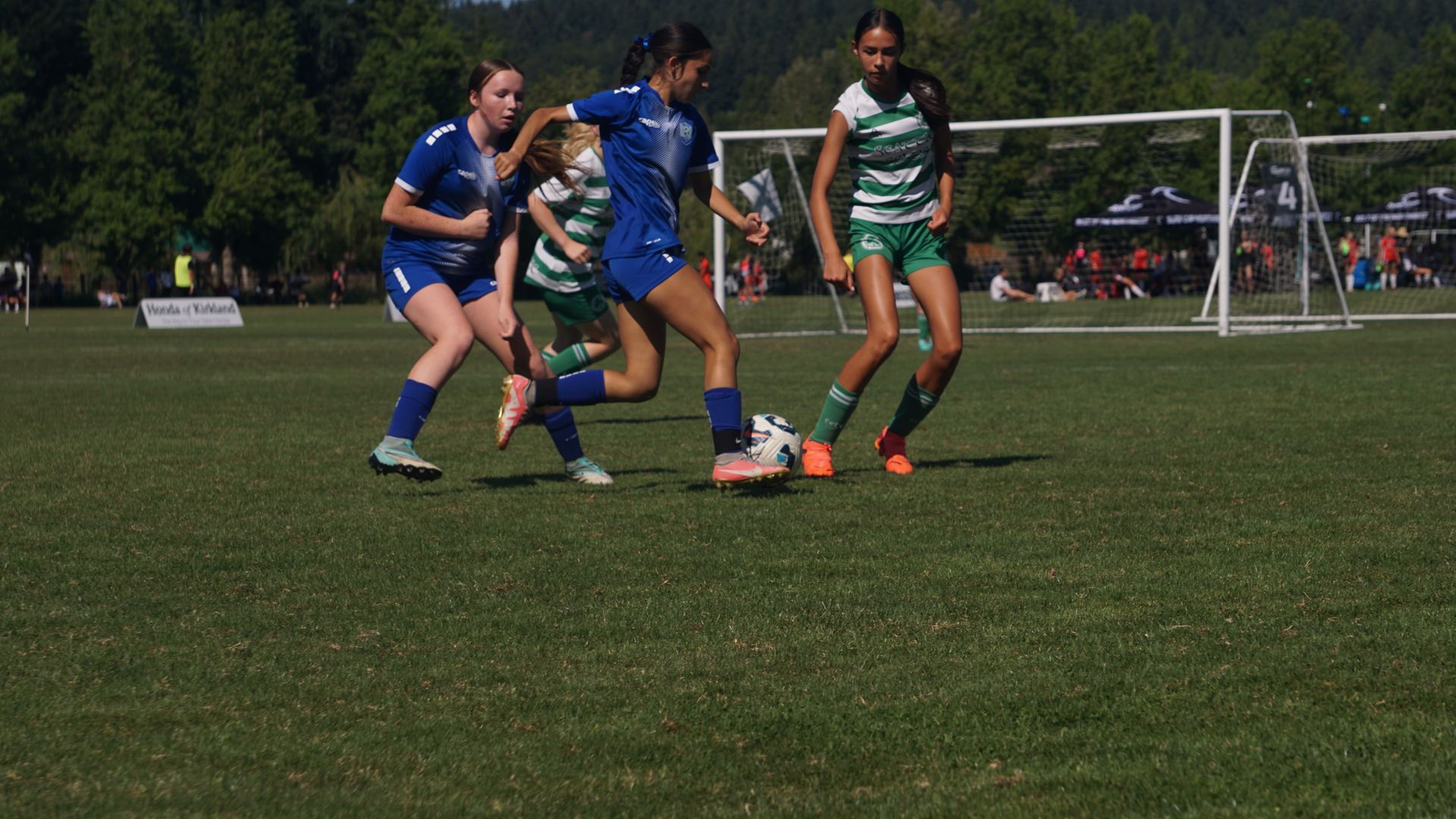 A group of girls are playing soccer on a field.