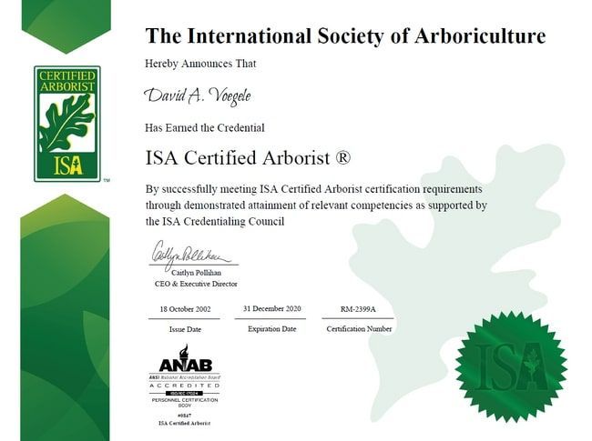 A formal International Society of Arboriculture (ISA) Certified Arborist certificate issued to David A. Verglo.