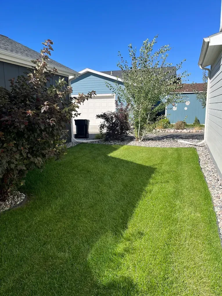 Healthy green residential lawn in Billings, MT following professional lawn care