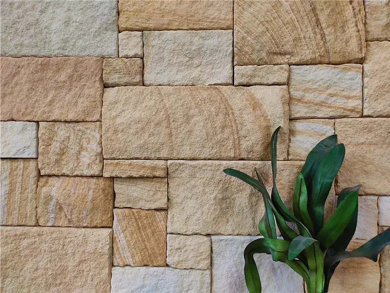 Sandstone brick wall with a green plant — Premier Bricks, Blocks & Pavers In Heatherbrae, NSW