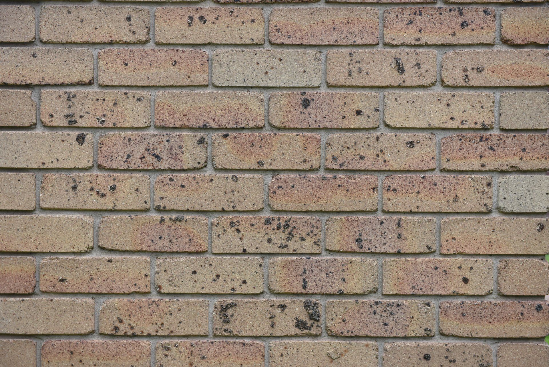 Tan and brown brick wall with irregular dark spots — Premier Bricks, Blocks & Pavers In Heatherbrae, NSW