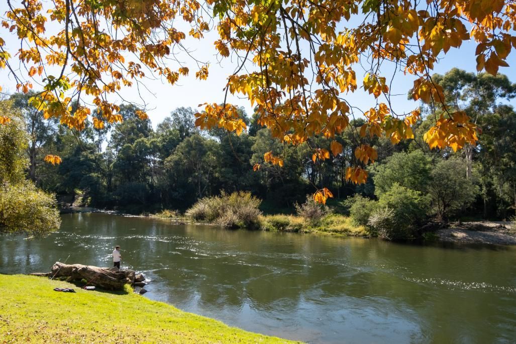 A Lake Surrounded By Trees And Grass In A Park On A Sunny Day — Premier Bricks, Blocks & Pavers In Chisholm, NSW