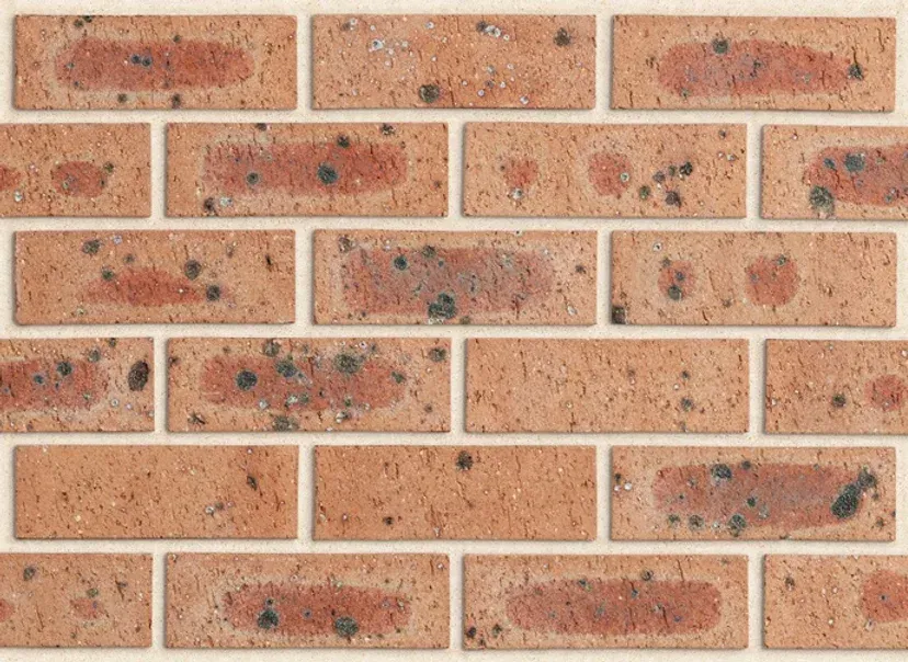 Close-up of a brick wall with red-brown bricks and light-colored mortar — Premier Bricks, Blocks & Pavers In Heatherbrae, NSW