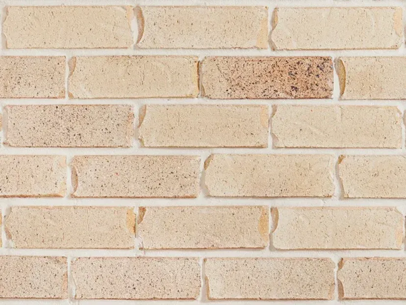 Brick wall with textured beige bricks and a single brownish brick — Premier Bricks, Blocks & Pavers In Heatherbrae, NSW