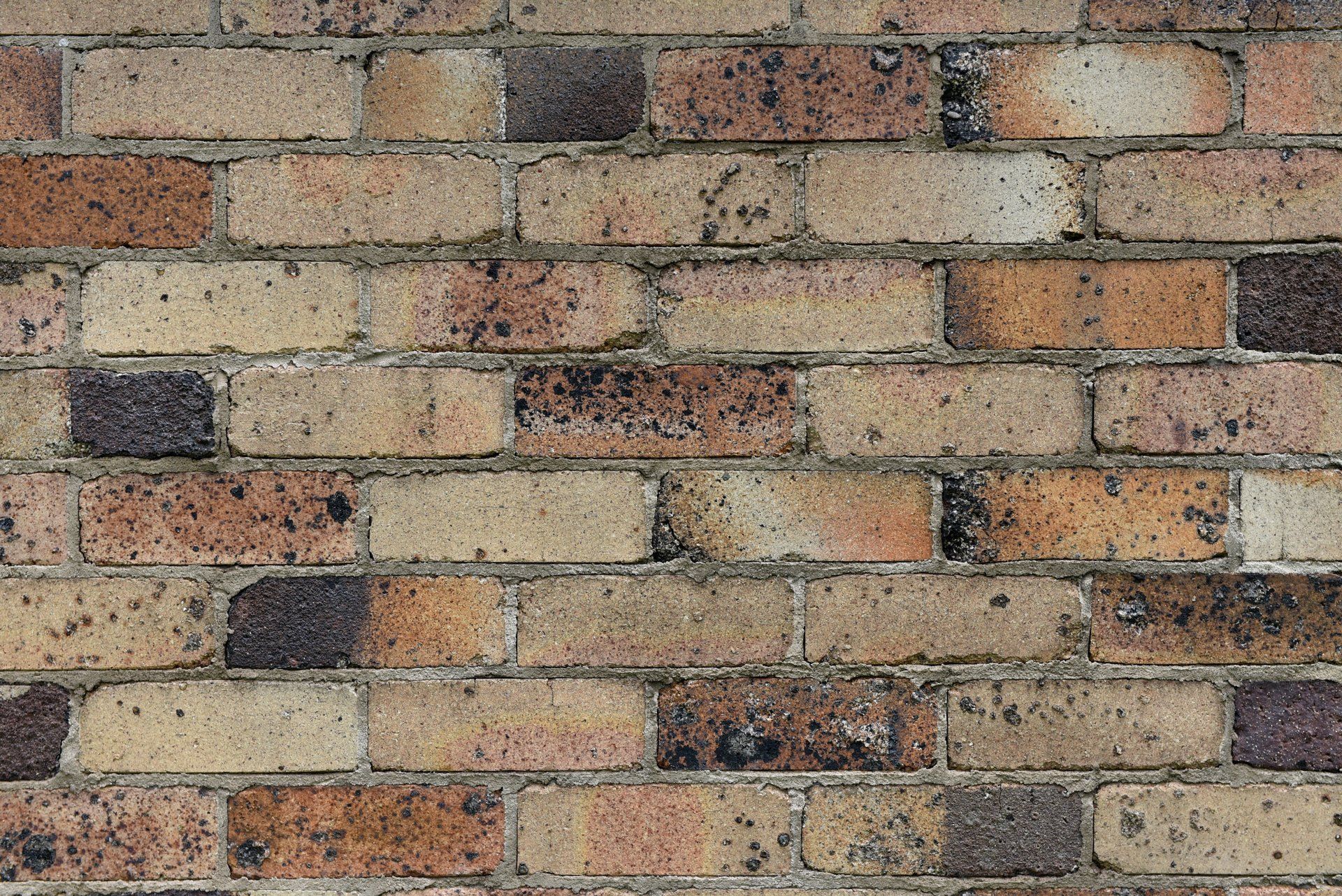 Brick wall, tan and brown bricks with mortar — Premier Bricks, Blocks & Pavers In Heatherbrae, NSW