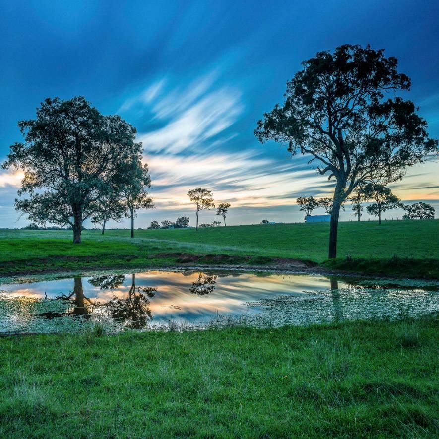 A Pond With Trees And A Blue Sky In The Background — Premier Bricks, Blocks & Pavers In Lochinvar, NSW