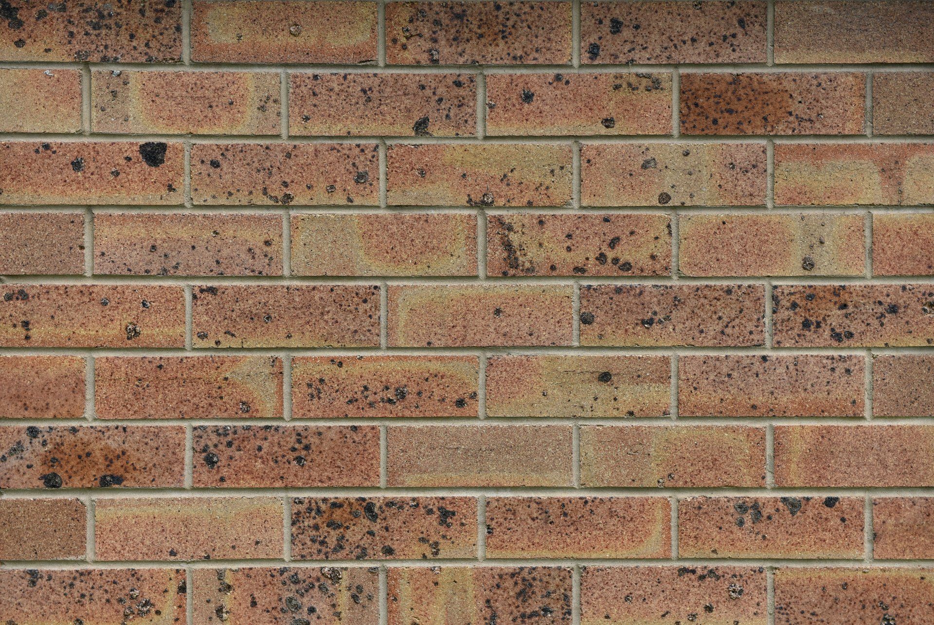 Brick wall with alternating rows of reddish-brown bricks — Premier Bricks, Blocks & Pavers In Heatherbrae, NSW