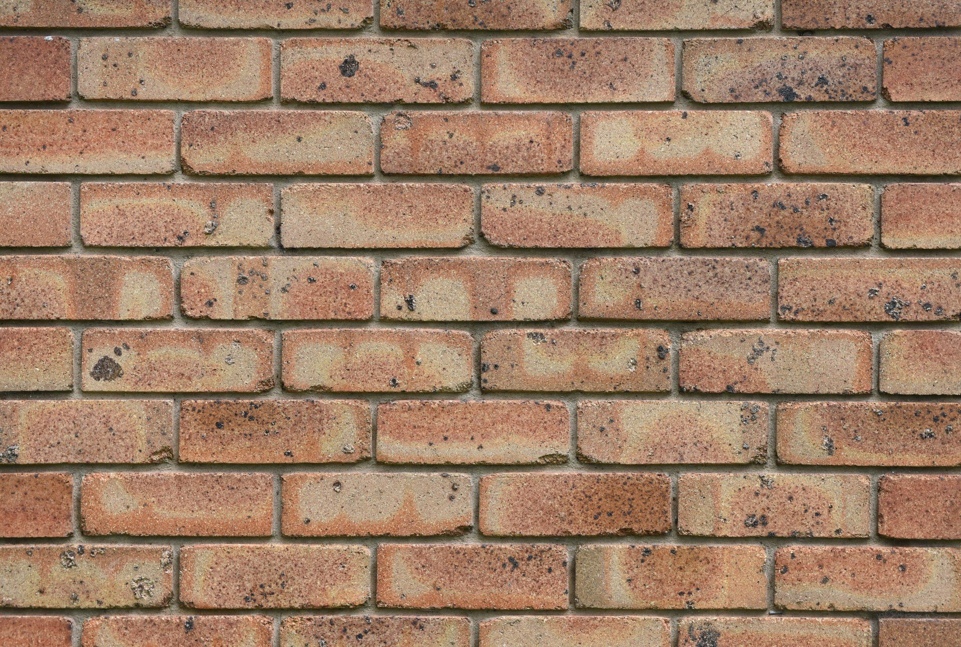 Brick wall, composed of reddish-brown rectangular bricks — Premier Bricks, Blocks & Pavers In Heatherbrae, NSW