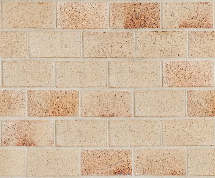 Tan brick wall with subtle brown variations — Premier Bricks, Blocks & Pavers In Heatherbrae, NSW