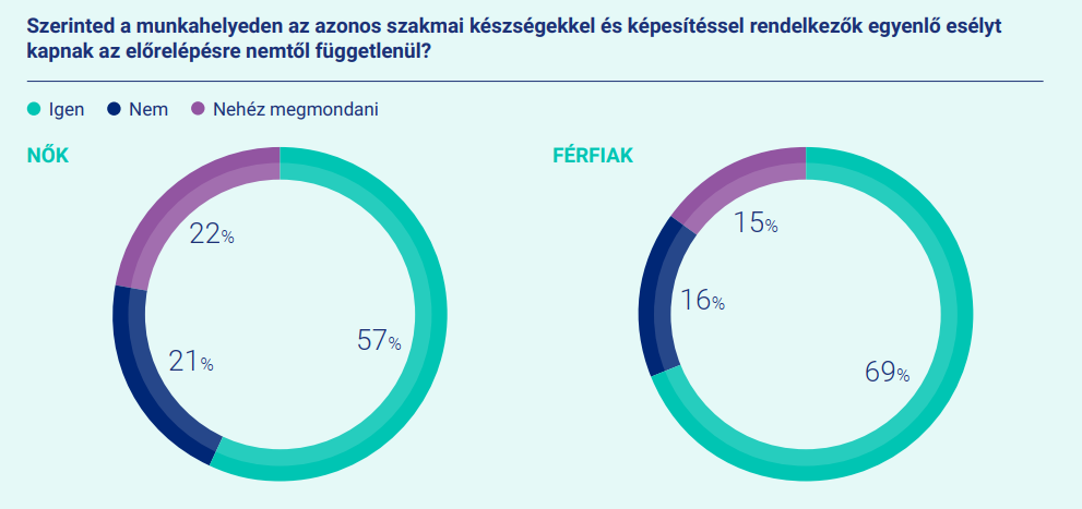 Hays grafikon a nemi bérkülönbségkről