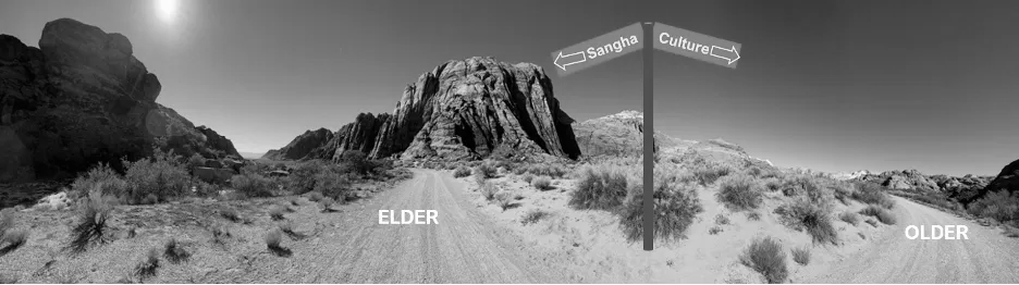 Two Roads Leading to Elder and the other is for Older Two Roads Leading to Elder and the other is for Older