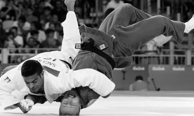 Professional Judo Match Professional Judo Match