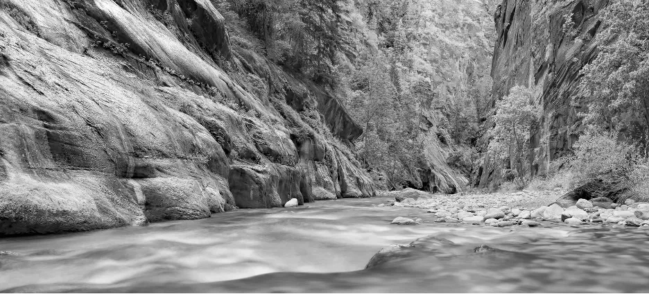 Captivating Image of Nature Captivating Image of Nature