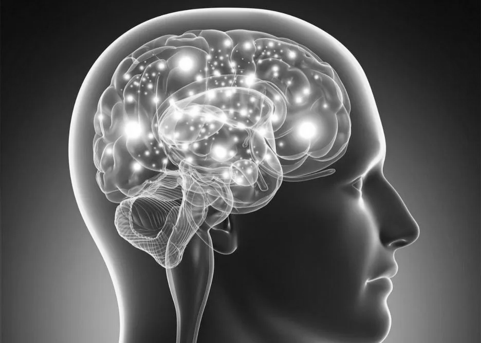 Digitalized Design of Human Brain Digitalized Design of Human Brain