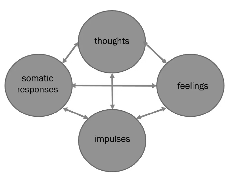 Circle Diagram of Anatomy of Emotion Circle Diagram of Anatomy of Emotion