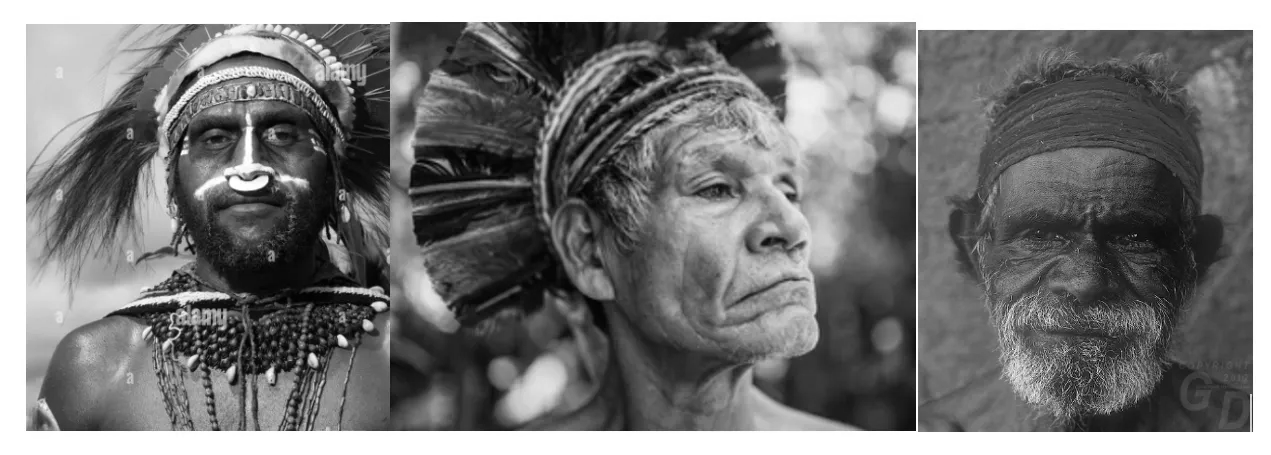 First Nation Elders Images First Nation Elders Images