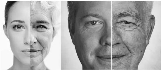 Before and After Old Age Before and After Old Age