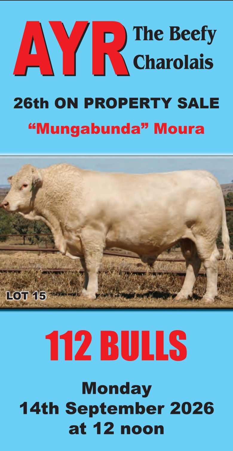 2023 catalogue