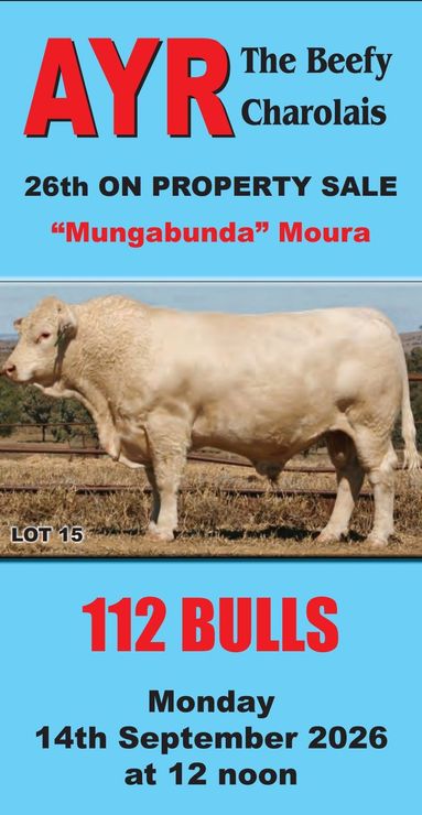 2023 catalogue