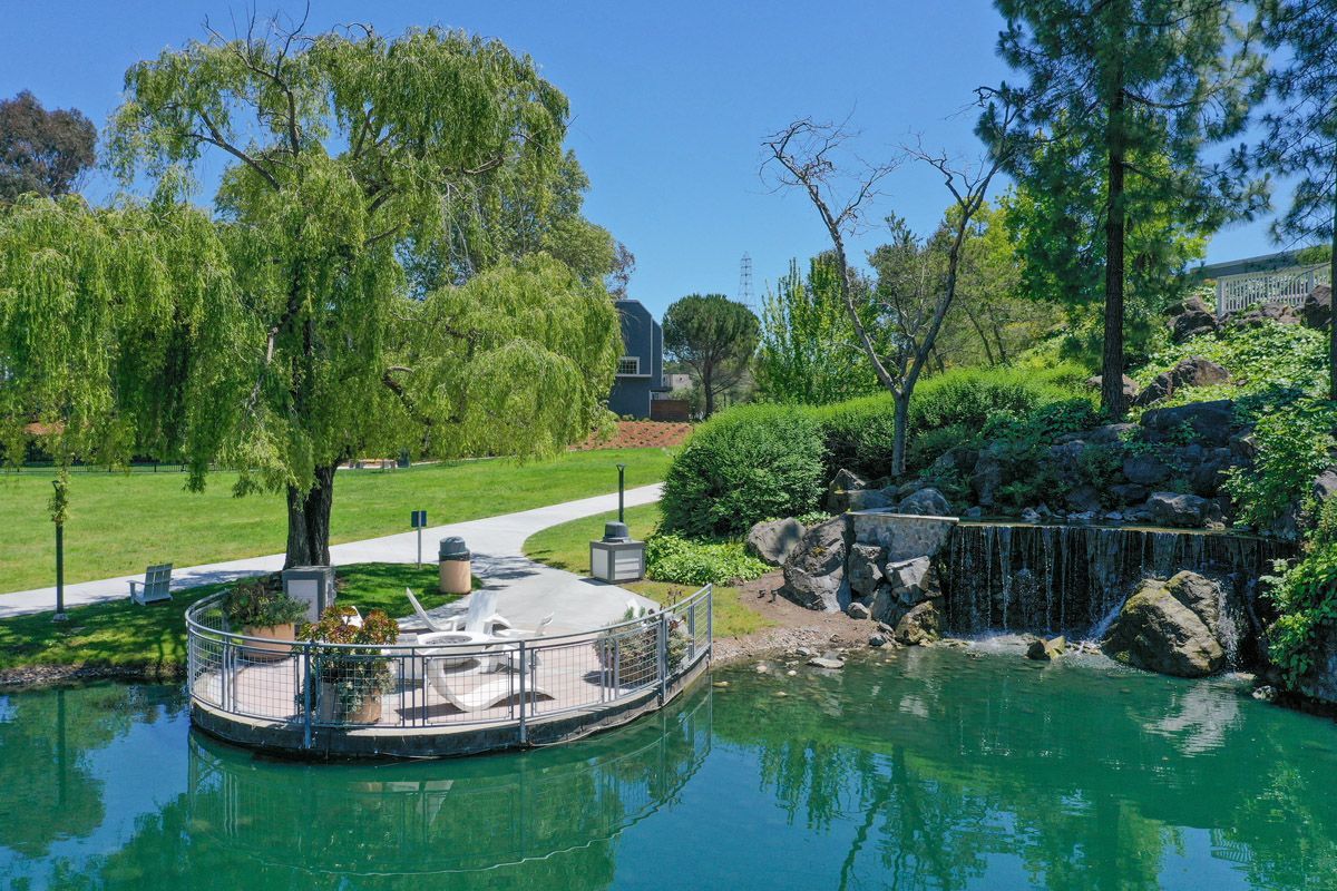 Outdoor community courtyard with a pond, waterfall, and greenery. Visit us at Finch at Larkspur and view pet-friendly 1 and 2 bedroom apartments and townhomes in Larkspur, CA.