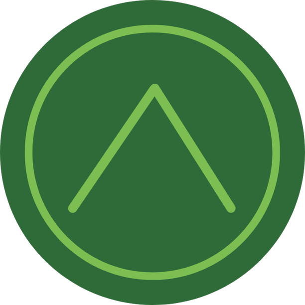 Apex Virtual Staffing