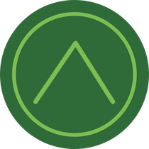Apex Virtual Staffing