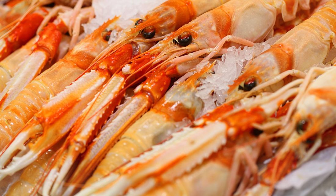 gamberi freschi