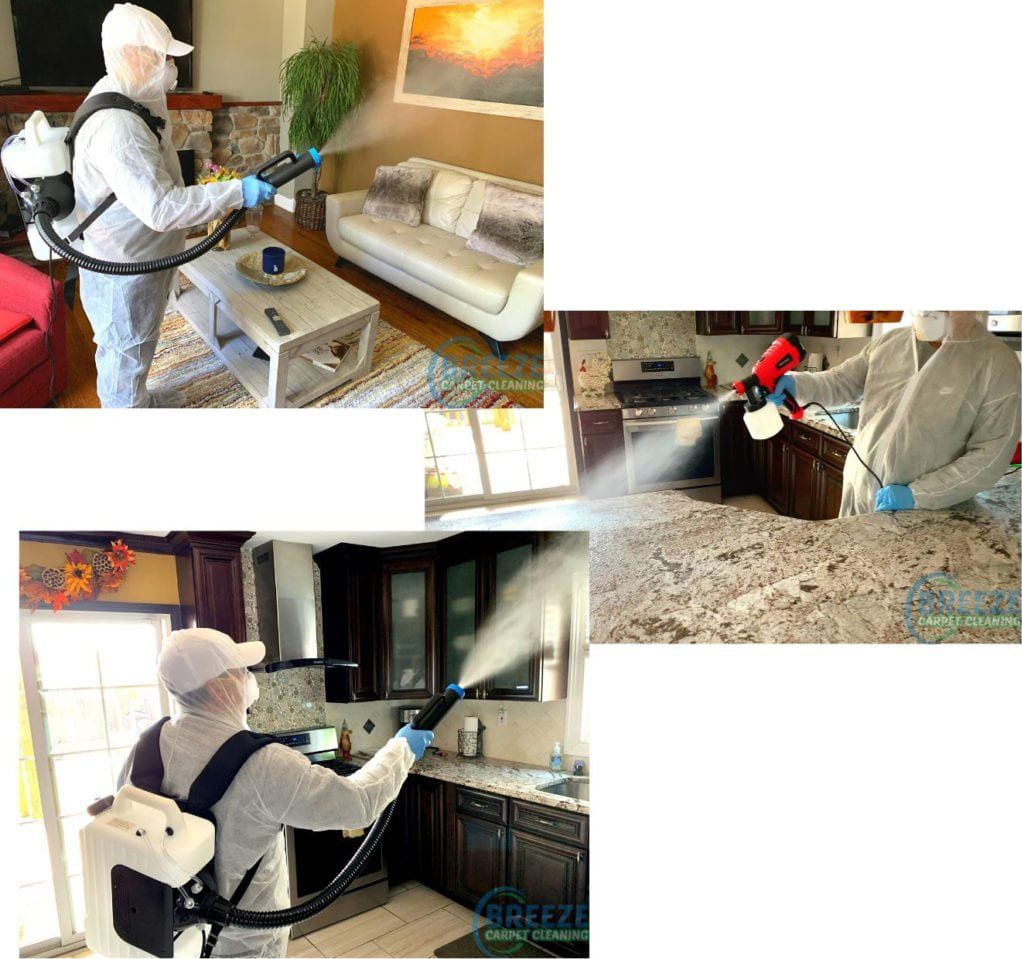 Breeze Disinfection Service