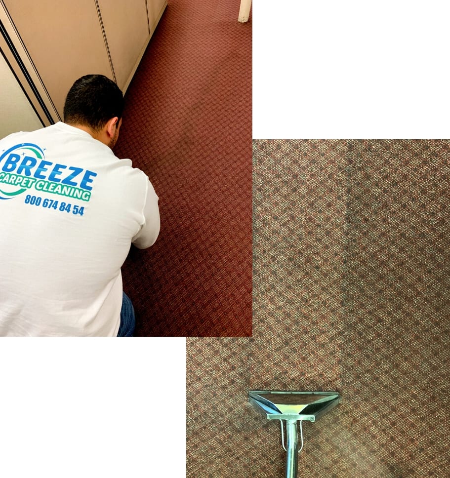 Carpet Cleaning Service